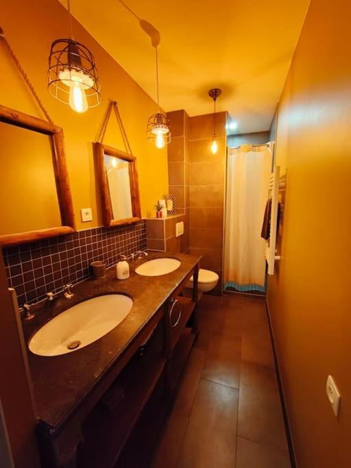 La Chouette Des Ducs, Appartement En Hypercentre Dijon Buitenkant foto