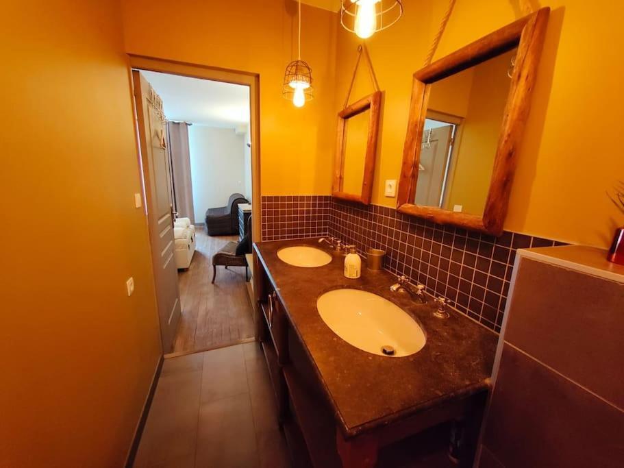 La Chouette Des Ducs, Appartement En Hypercentre Dijon Buitenkant foto