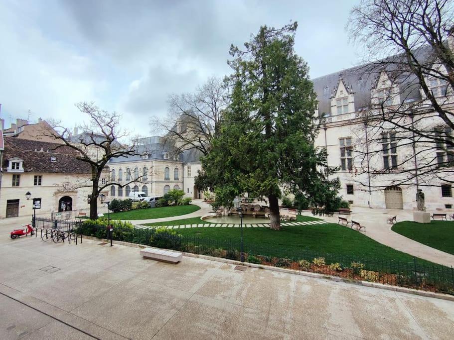 La Chouette Des Ducs, Appartement En Hypercentre Dijon Buitenkant foto