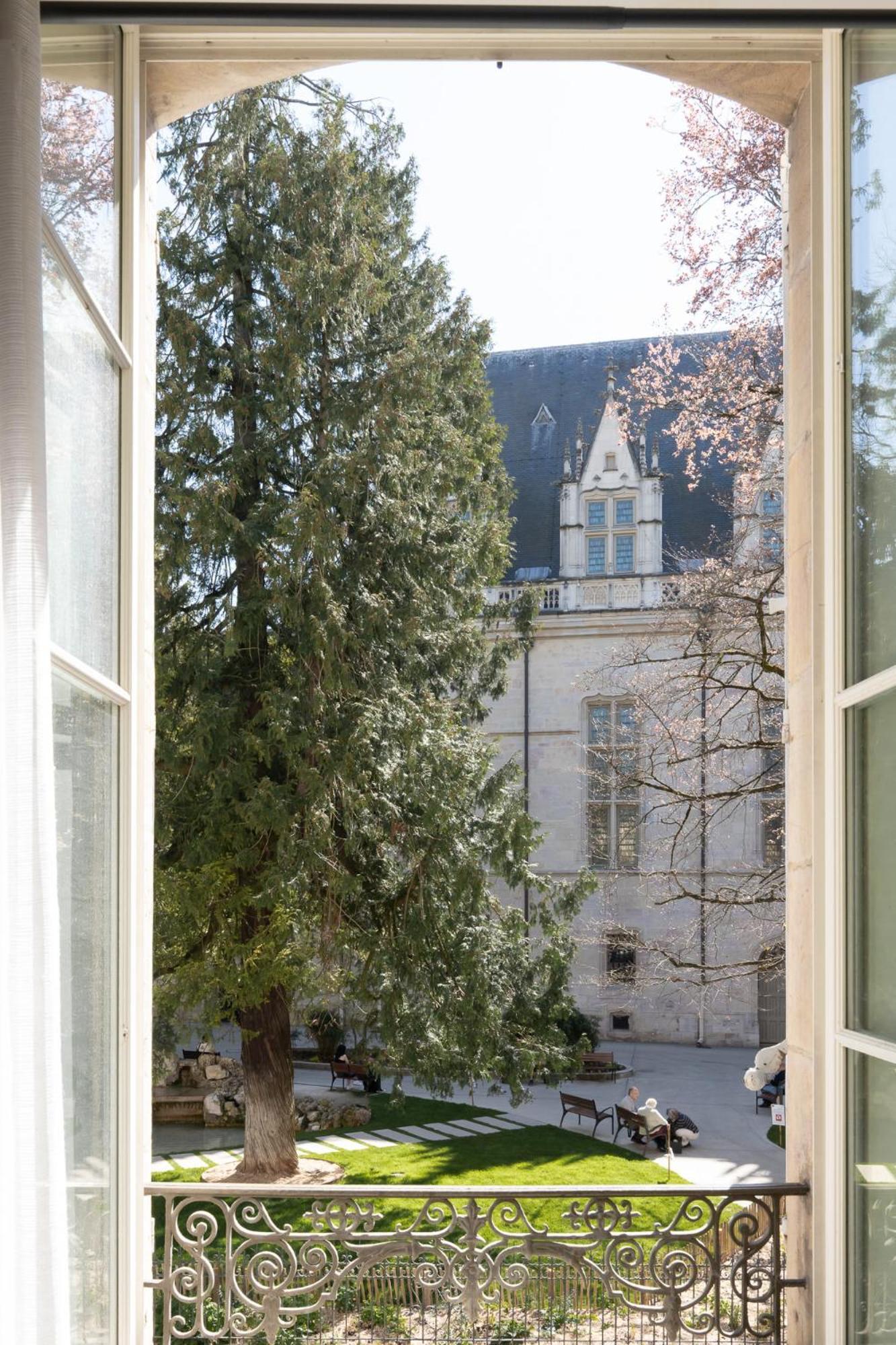 La Chouette Des Ducs, Appartement En Hypercentre Dijon Buitenkant foto